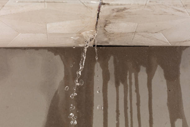 Professional Sewage Cleanup technician working in Tremont, IL
